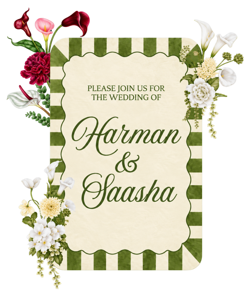 Harman and Sasha wedding